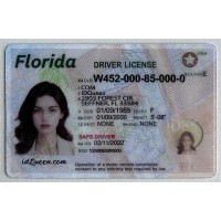 Florida Fake ID