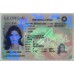 GEORGIA IDs