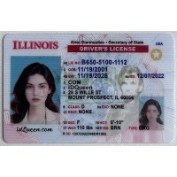 Illinois Fake ID