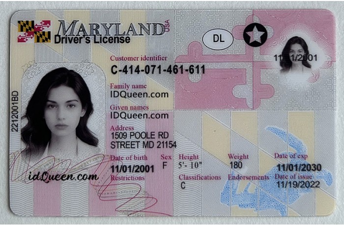 Maryland Fake ID