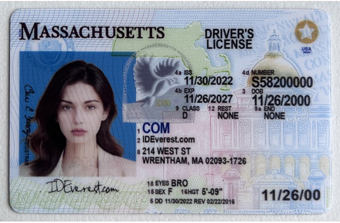 Massachusetts Fake ID