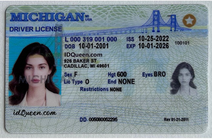 Michigan Fake ID