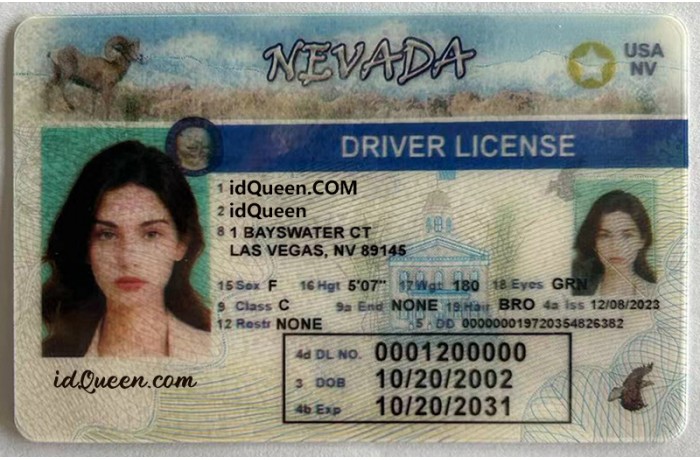 Nevada Fake ID