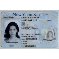 New York Fake ID