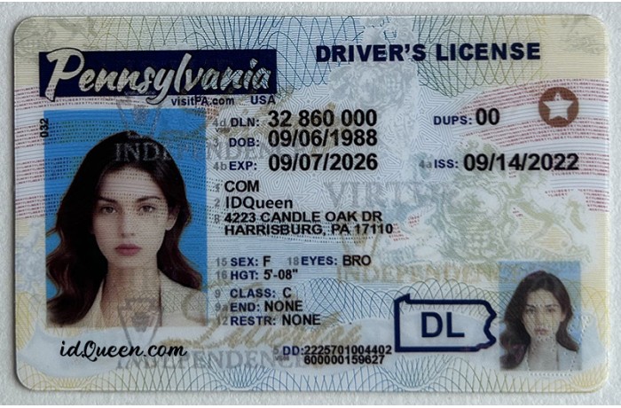 Pennsylvania Fake ID